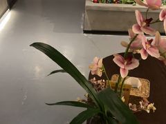 -施奈儿.洗头頭療.按摩SPA.采耳(上梅林店)