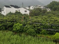 -东山风景区(洞庭东山)