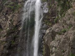 -旗山国家森林公园