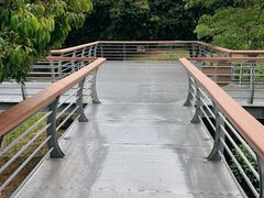 -立新湖公园