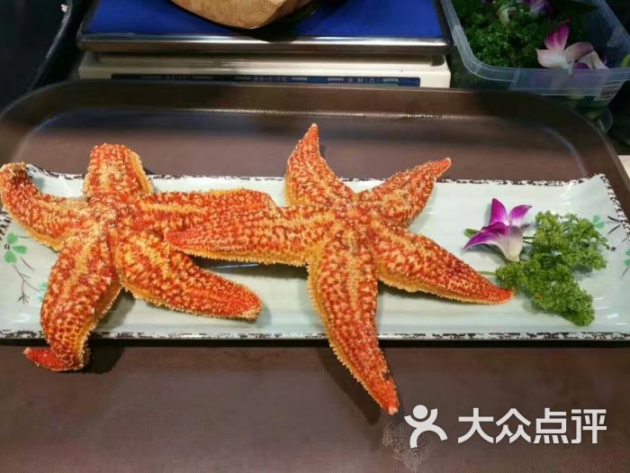 炭烤海星