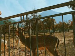 -西安秦岭野生动物园