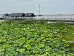-滆湖低碳生态公园