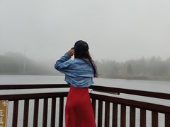 -海南热带雨林国家公园吊罗山景区