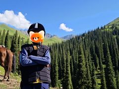 -新疆那拉提国家旅游度假区