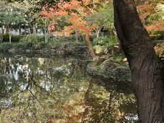 -秋霞圃