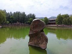 -金城公园