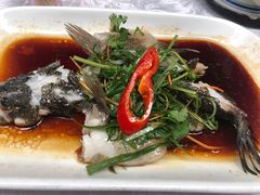 -大树头森林餐厅(番禺广场店)
