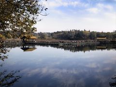 -溱湖国家湿地公园