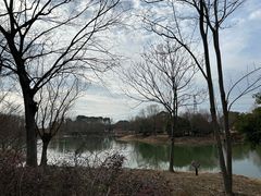 -梁鸿国家湿地公园