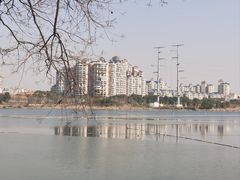 -金银湖国家城市湿地公园