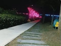 -洪湖家庭农场·团建·露营·会议