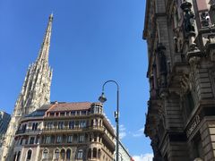 -斯蒂芬主教座堂(Stephansdom)