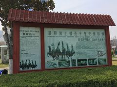 -洛阳周王城天子驾六博物馆