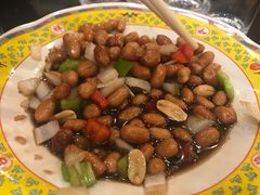 -芦月轩羊蝎子(北蜂窝店)