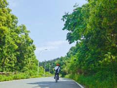 -青龙山国家森林公园