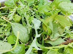 -黔府豆米火锅野菜馆(南马店)