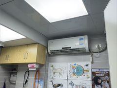 -芭比堂动物医院·心脏科·老年急重症·夜诊·吉雅分院