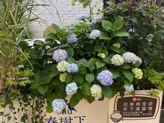 -春树下·树屋花房西餐厅(罍街AS1980店)
