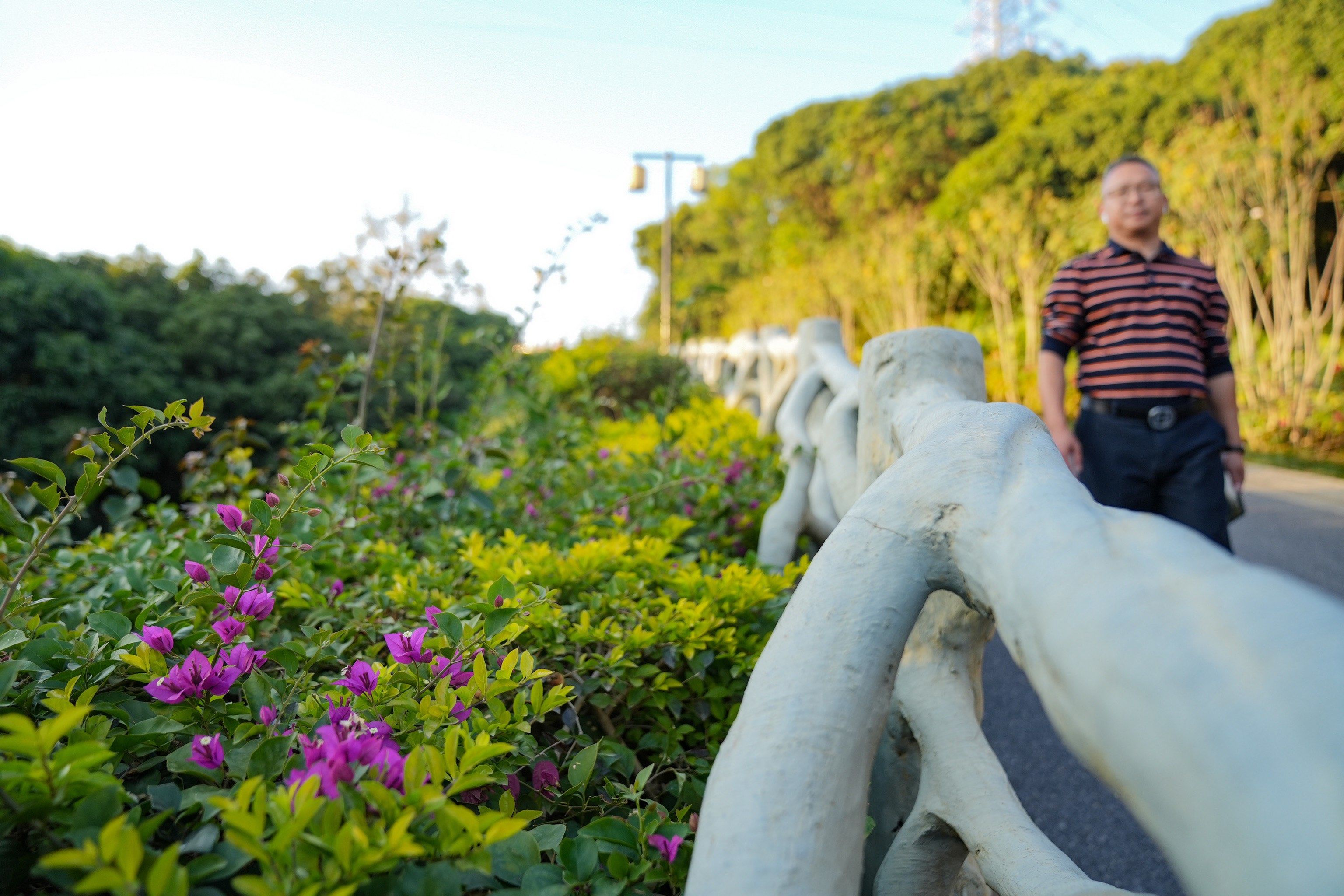 企龙山公园——宝安版"绿野仙踪"