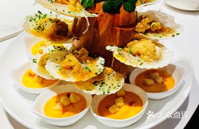 Scallop Egg