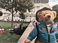 -济州岛泰迪熊博物馆