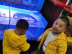 -星记小馆·小蓝龙·老南京砂锅菜(上海路店)