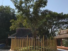 -西双版纳勐泐文化旅游区