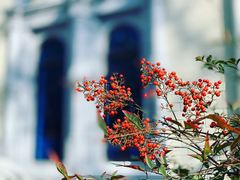 -思南书局·诗歌店