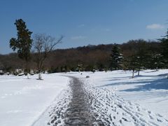 -紫霞湖公园