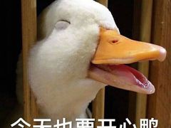 -SUBWAY赛百味(金码大厦店)