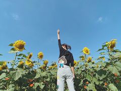 -映月湖中央公园