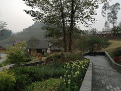 -黄龙溪欢乐田园