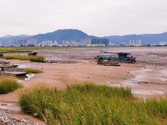 -北岐滩涂