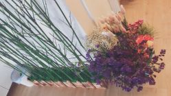 -静照轩养心瑜伽馆