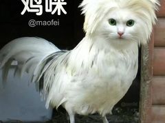 -泥糊破店川菜小酒馆·夜宵(徐家汇店)