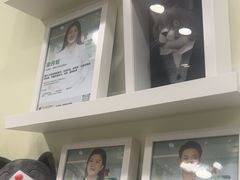 -悦宠凯宝动物医院·牙科·皮肤科(朝阳北路店)