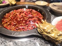 牛油锅底-蜀大侠火锅(寰球文化地标·总府店)