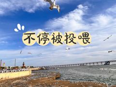 -星海广场