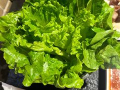 -嘿嘟嘟·肋条烧肉放题(爱融荟城店)