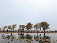 -苏州太湖湖滨国家湿地公园