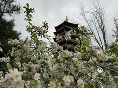 -长春北湖公园