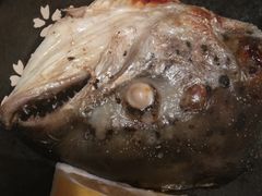 三文鱼鱼头-元气寿司(东方宝泰店)