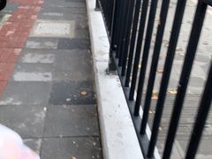 -上海动物园(地铁站)