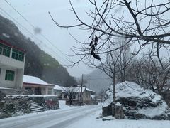 -秦岭风景区