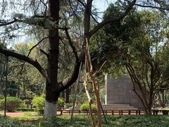 -中南财经政法大学(首义校区)