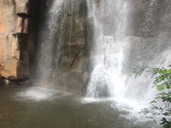 -金鸡山公园