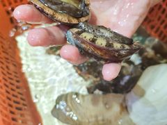 -巽寮印象美食部落餐厅·海鲜·地方特色菜(惠州体验店)