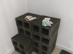 -蚂蚁搬家成都打包搬运公司