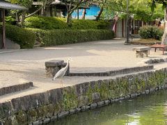 -水前寺成趣园